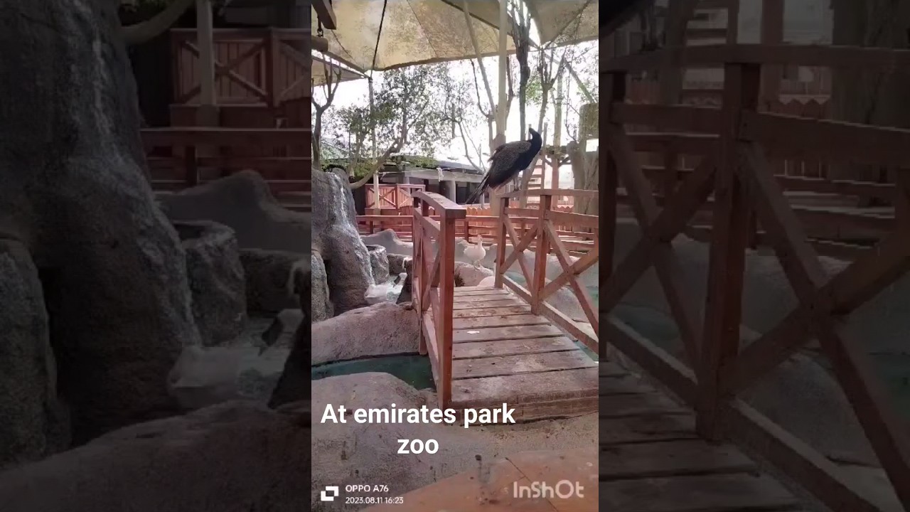 Enjoining an evening -Emirates park zoo