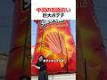 中国の超面白い巨大ポテチ