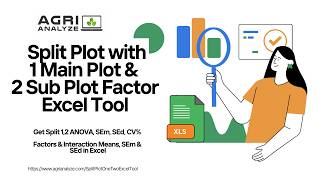 Split Plot Excel Tool with One Main Plot and Two Sub Plot Factor