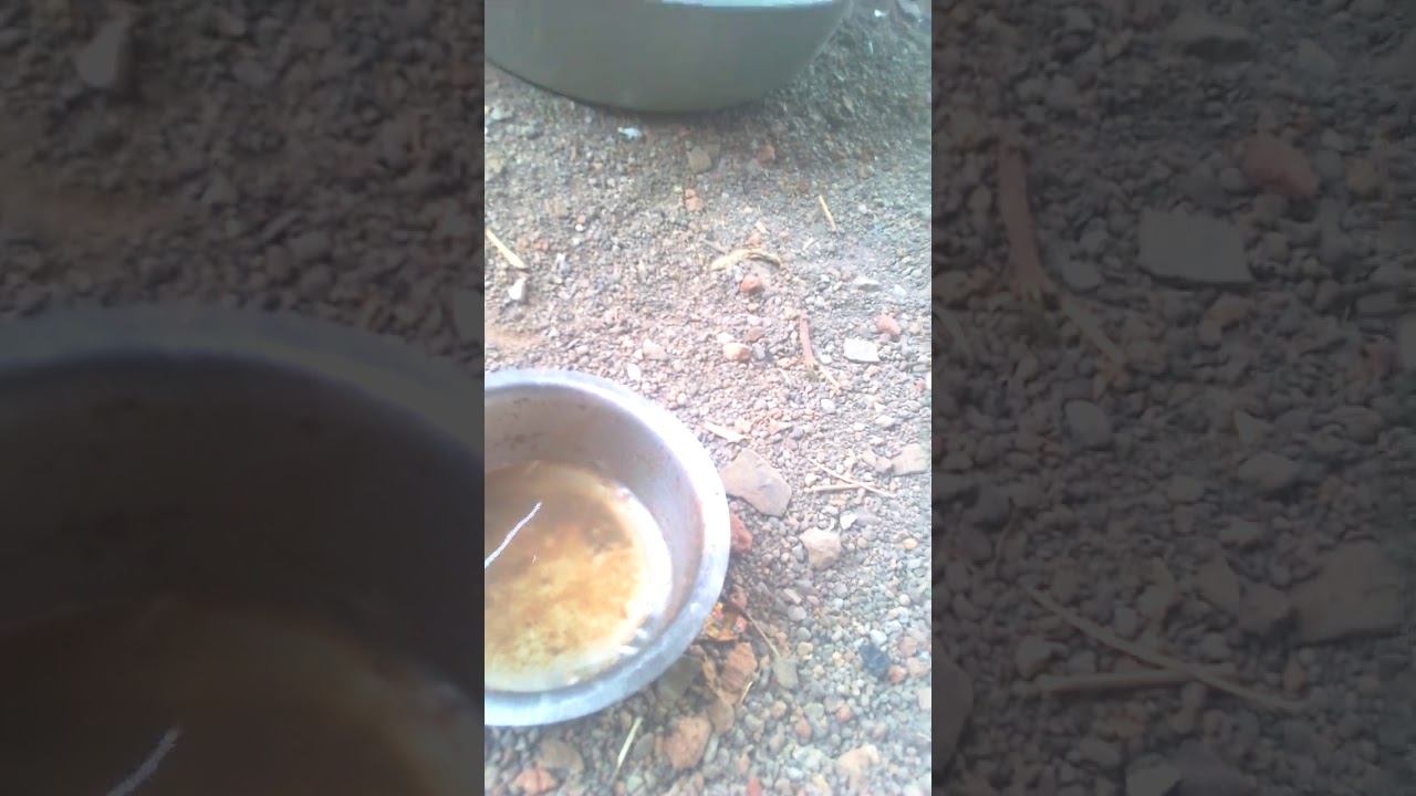 camera iphone 8 plus apk Ravi,reena