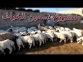 122 أشتريت خرفان للتسمين فهل ينجح المشروع جولة في سوق الغنم كيفية معرفة عمر الغنم و تقليم الحوافر