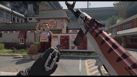 "CAT NIP" AK Skin Showcase  [Call of Duty: Cold War]