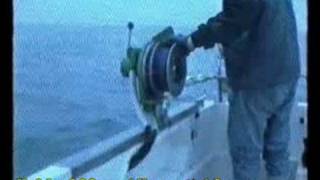 Virhydro - pots hauler & trolling fishing reel (ref 260) 