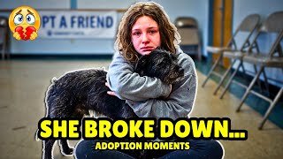 We Let Stray Dogs Choose Their Owners And THIS Happened 💔 Adoption Day