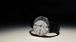 Commercial Video Promotion a Watch (filming at home) screenshot 4