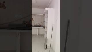 duplx house nearby ECIL RAMPALLY BRNGUDLA KEESAR