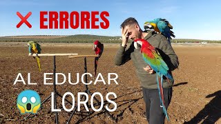 ¿Cómo EDUCAR a un LORO ?❌3 ERRORES que NO debes cometer❌