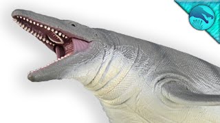 New Reveals From The Depths....