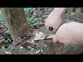 Middle of video