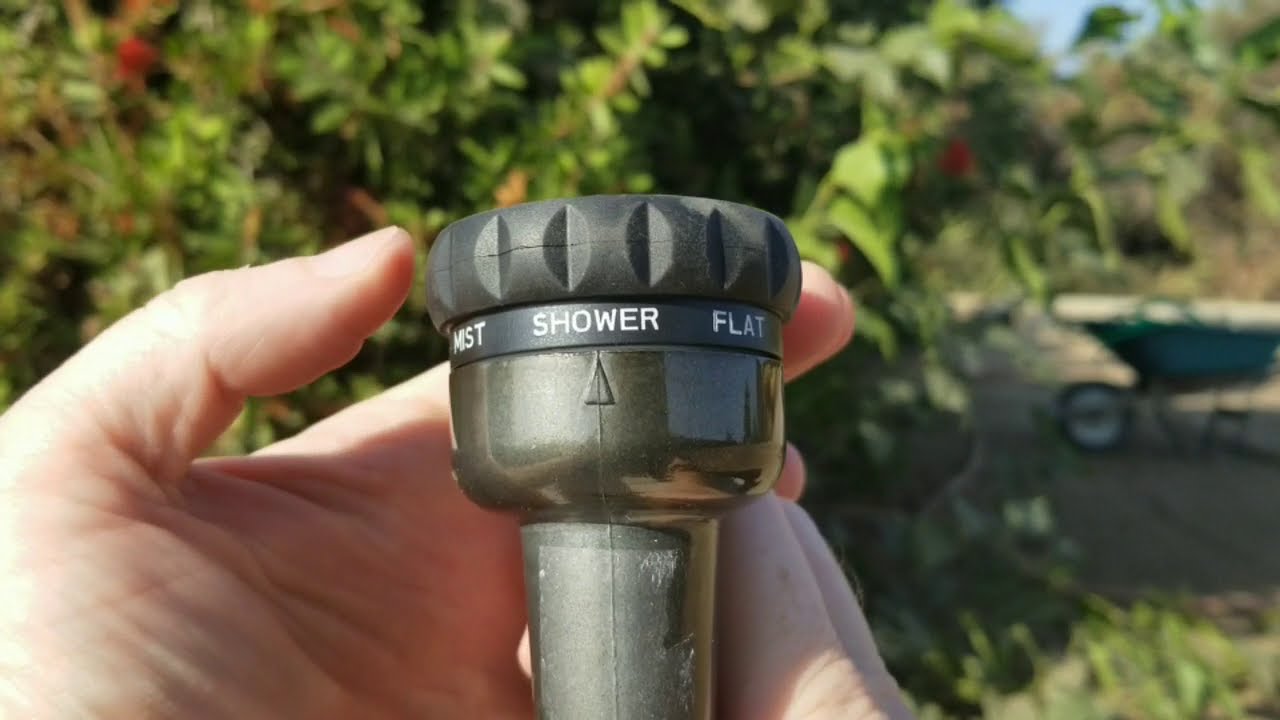 WAP *Wet All Plants | Darren Carter | Vlog | Front Trigger Antique Black