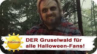 Gänsehaut & Angstschweiß Garantiert: Der Horrorwald im Sauerland! | SAT.1 Frühstücksfernsehen