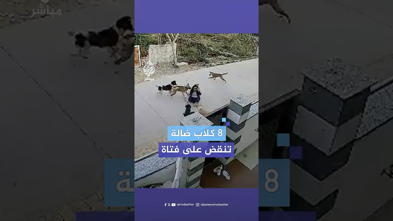 8 كلاب ضالة تهاجم فتاة في الهند.. شاهد ما حدث؟