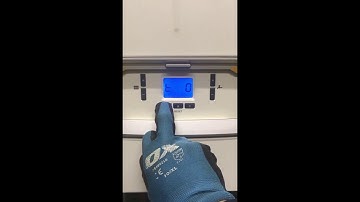 How to put an Alpha Protec Pro-tec into service mode - BOILER SERVICE MODE