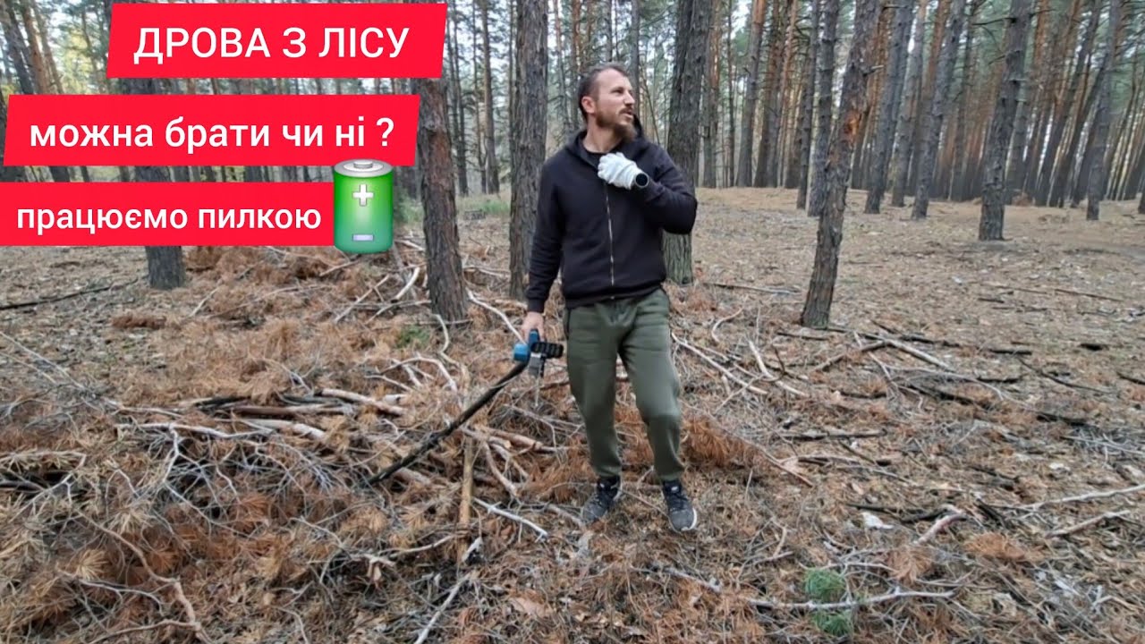 ТЯГАЄМО СУШНЯК З ЛІСУ, БЕЗКОШТОВНЕ  опалення будинку 😱 