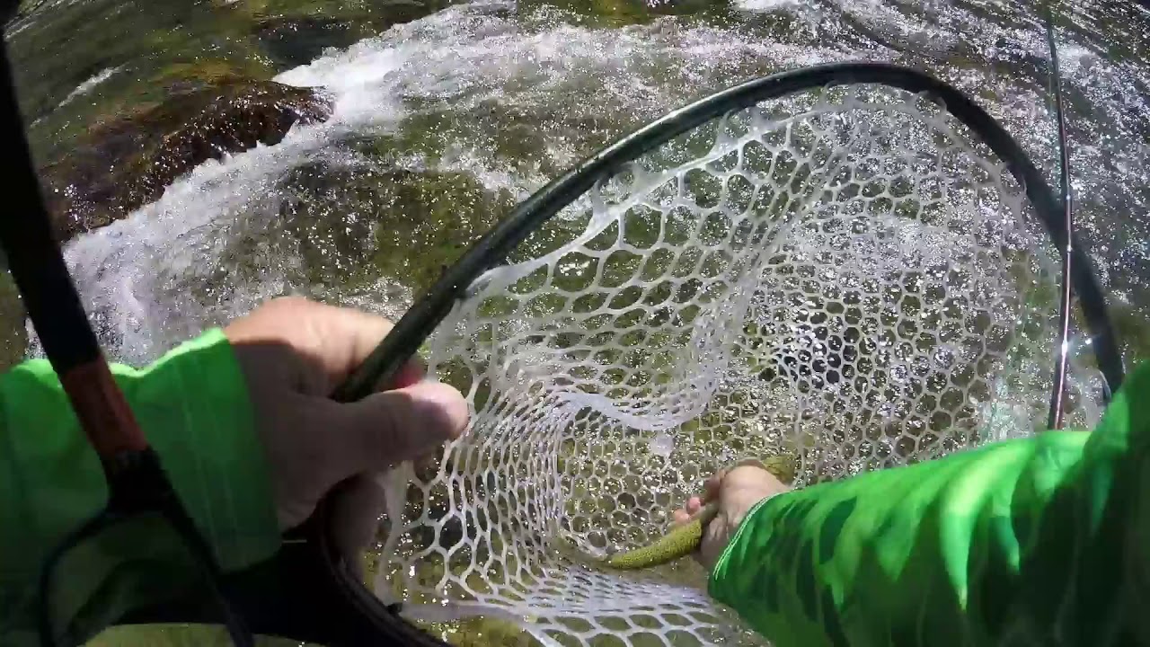 Kelly Creek Aug 2017