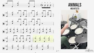 🥁 Animals - Architects - (DRUMS ONLY)