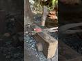 Blacksmith working shorts video ⚒️⛓️ #Blacksmith #shorts #asmr