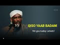 QISOOYIN Yaab Badan Nin Guursaday Qof Labeeb Ah Shiikh Saalax Macalim