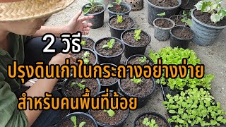 วิธีปรุงดินเก่าในกระถาง|วิธีปลูกผักในกระถาง สำหรับคนพื้นที่น้อยเกษตรสุขกลางกรุง