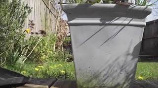 Bigtrak skills...