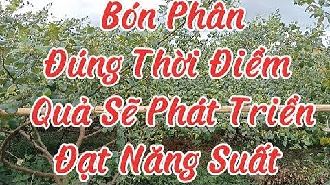 Những Thời Điểm Bón Phân Cho Táo Quả Non Để Đạt Năng Suất Cao Nhất.