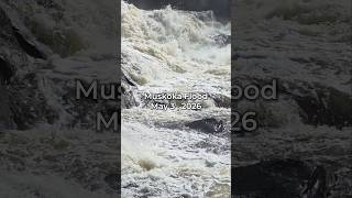 Muskoka Flood 2026 | Water Decreased  2.5 in / 6.3 cm in 24 Hours (Spring Flood Update)