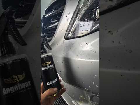Angelwax Revenge BUG
