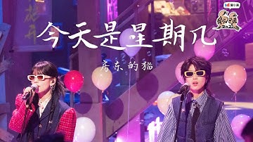#房东的猫 《今天是星期几》 舞台充满了丰富的细节设计 摩登复古感十足！| #我们民谣2022 EP9纯享 FOLK 2022| iQIYI音乐