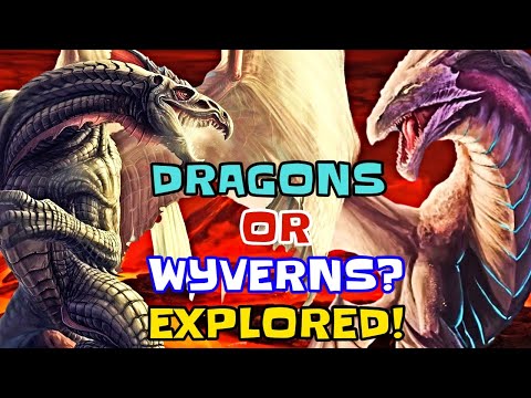 Video: Is wyverns 'n tipe draak?