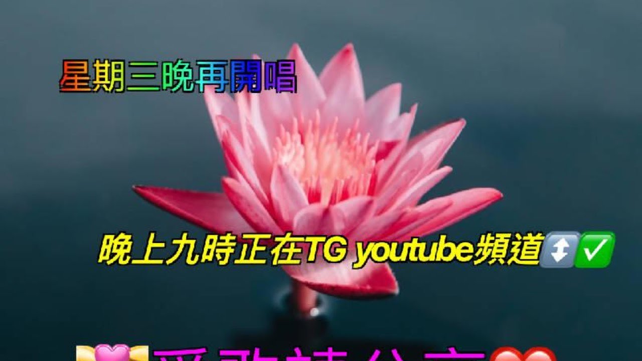 咖啡因公園 自彈自唱 Ep4 Youtube Live Stream Youtube