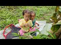 Single mother - Digging cassava to sell for money - Orphans