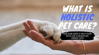 Holistic Pet Care Explained: Natural Solutions for a Happier Pet