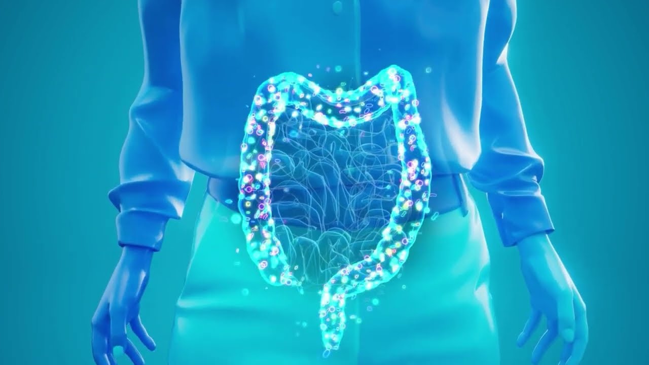 Gut Support Is Essential: Boost Immunity, Clear Skin & Fix Your Digestion!