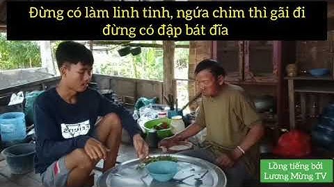 CON VỊT CÓ TRƯỚC HAY QUẢ TRỨNG CÓ TRƯỚC? - LỒNG TIẾNG THÁI - LƯƠNG MỪNG TV