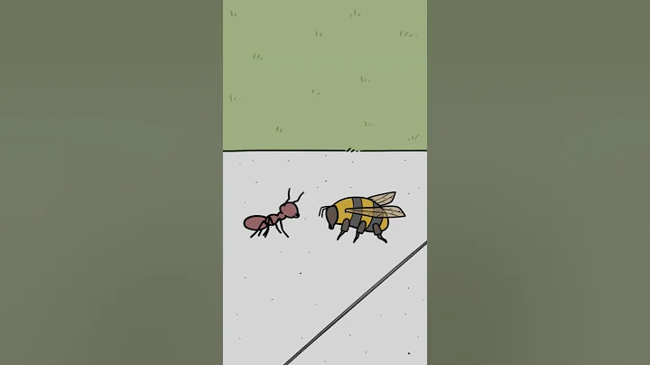 Ant Vs. Bee