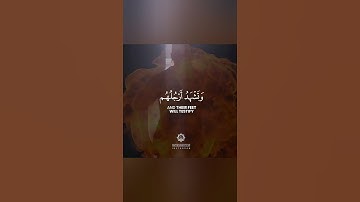 الآية مرعبة تلاوة خاشعة من القرآن الكريم 🌷 بصوت جميل حالات واتس اب دينية قصيرة مؤثرة 💙 Quran status