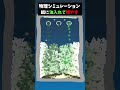 紙に油入れて燃やす4 #sandboxxl 【Sandbox XL】