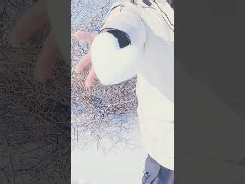 طول السنة وانت عندي