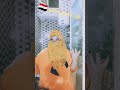 Our Story Today Is True A 28 Year Old Egyptian Man Named Sherif 