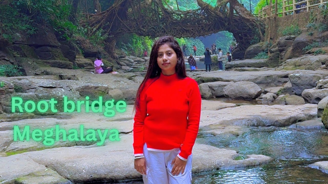Single decker bridge Meghalaya,single root bridge, single root biriz,Meghalaya tour,piyalee Jaipur 