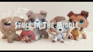 lps stuck in the middle