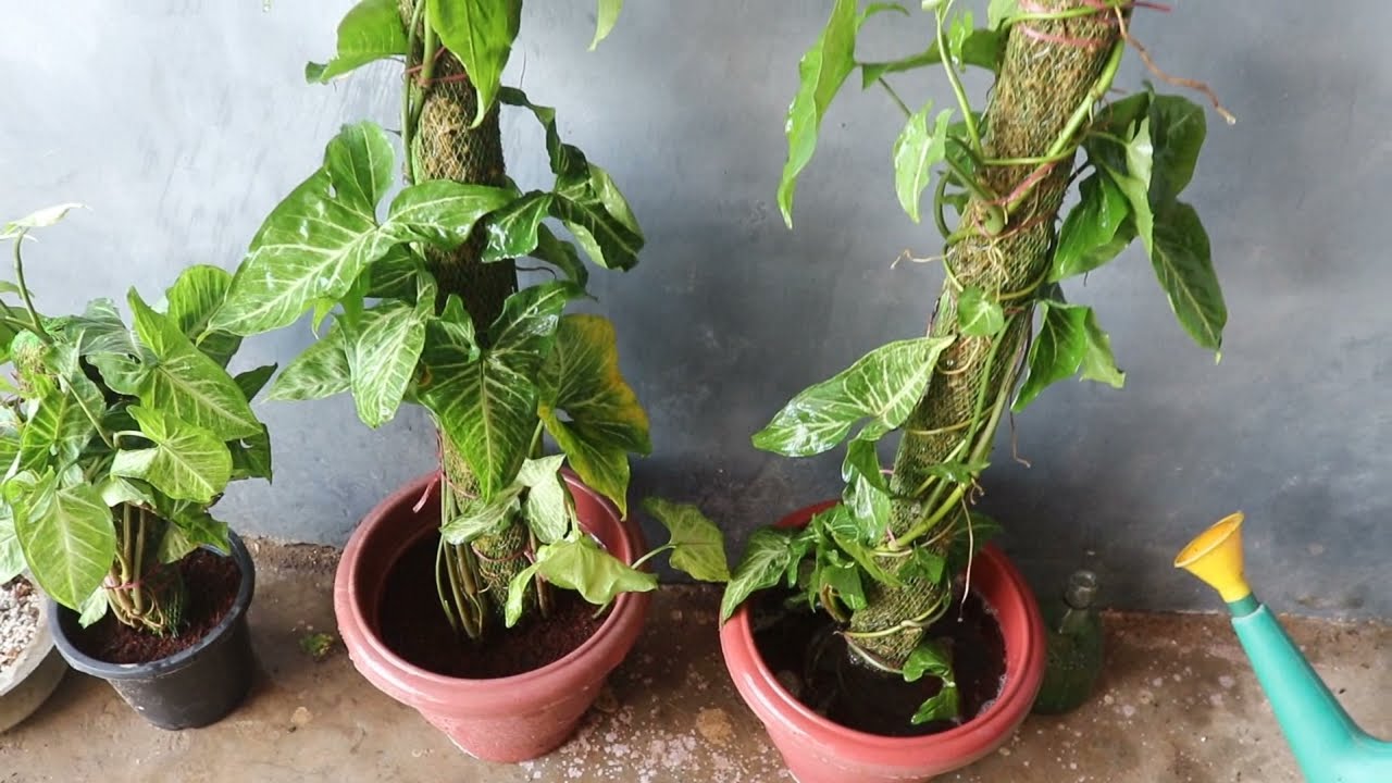 cloth planting pots Grassroots Living Soil Fabric Pot 30 Gallon