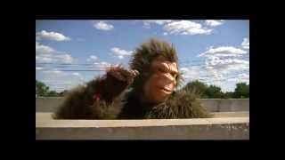 QBASIC Gorillas The Movie - Trailer (HD) (Live Action)