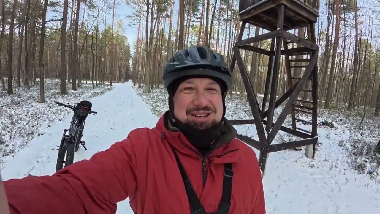 Orzel P17 - zima w lesie