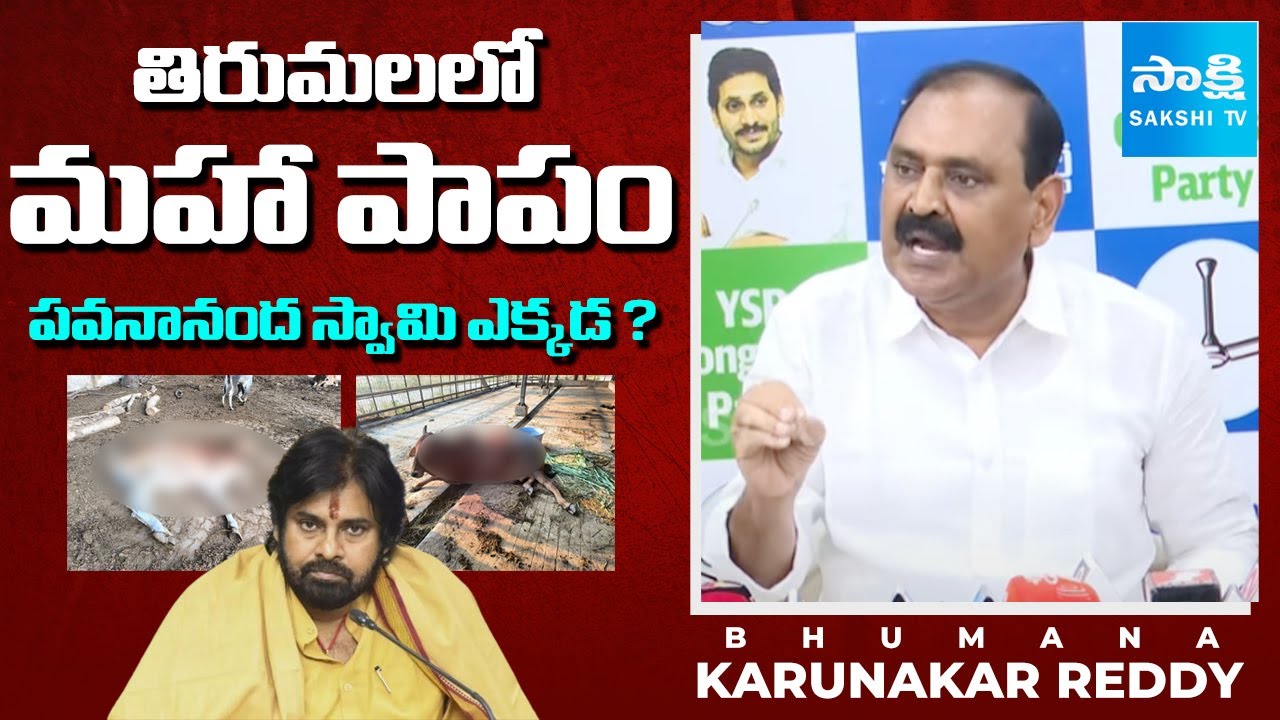 Bhumana Karunakar Reddy Slams Pawan Kalyan Over Tirumala Goshala | Chandrababu @SakshiTV