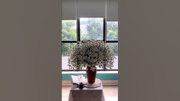 Phương pháp cắm hoa gác cành - Cúc Hoạ Mi