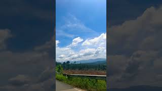 Scenic Views & Vast Plantation Landscapes 🌿⛰️ #RoadTrip #NatureLovers #scenicviews