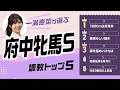 【府中牝馬S2026予想｜調教トップ5】ヴァルキリーバースは圏外？ 1位は「1800mは好条件」の伏兵