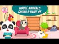 Learn Animals | Kid learn to recognize and care of animals | House Animals | Candybots games