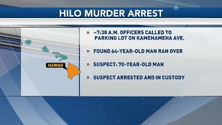 Suspect arrested in deadly Hilo parking lot attack